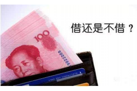 非典疫情期间逾期贷款催收：应对策略与案例分析